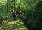 IMG 2838